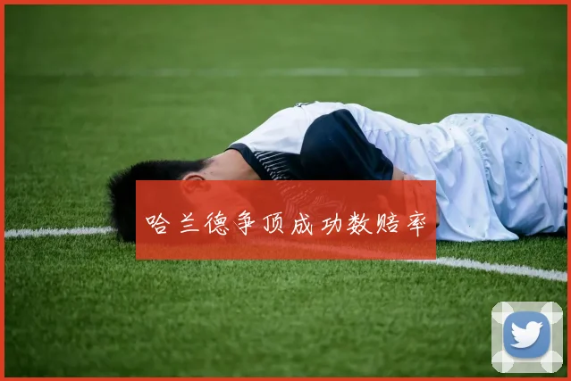 哈兰德争顶成功数赔率 - 非凡体育下载