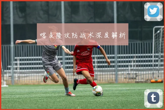 喀麦隆攻防战术深度解析 - 非凡体育下载